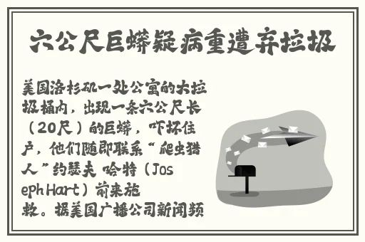 伽罗**ゃんが腿法教学视频,蘑菇精品